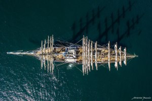 Cirne Branco 1024px-DJI_0009_(27712186674)