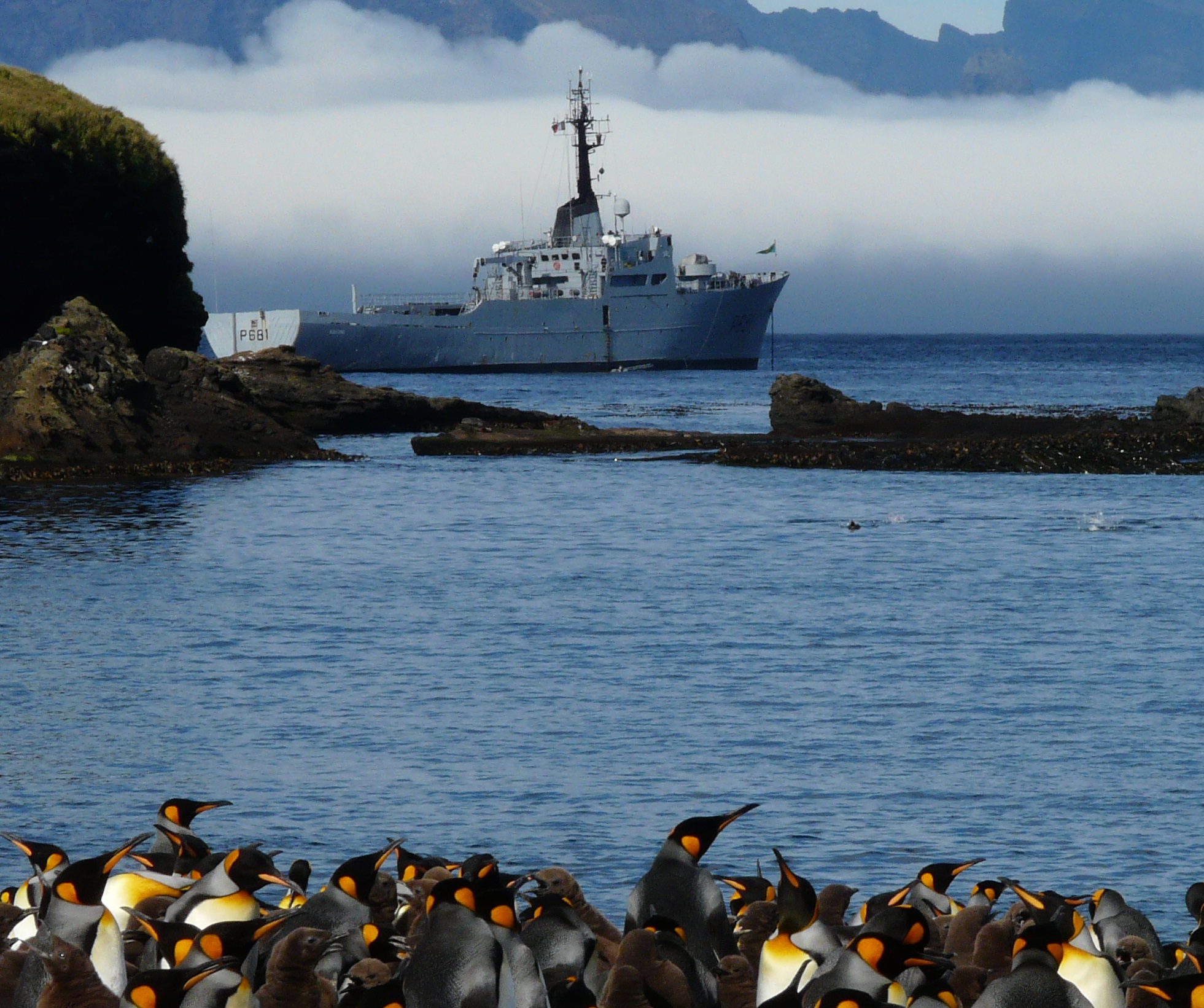 Patrouilleur_austral_Albatros_(mars_2013)_-_panoramio_DETAIL