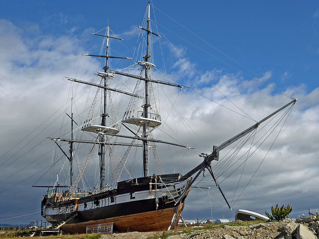 Beagle_S_Punta_Arenas_19-01-2018_(1)